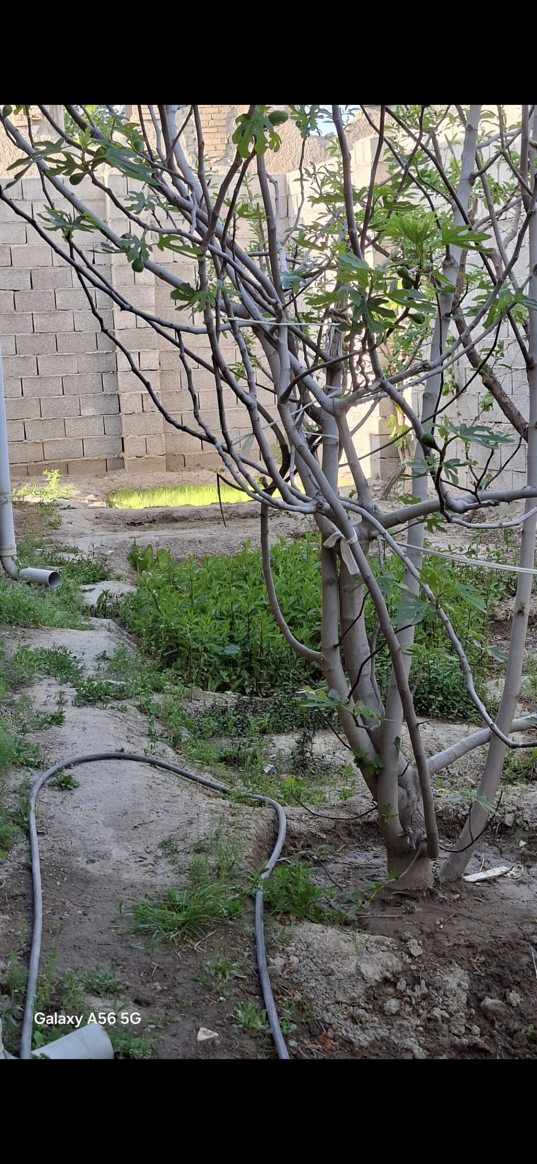 فروش منزل روستایی ۱۵۰ متری با تمام امکانات