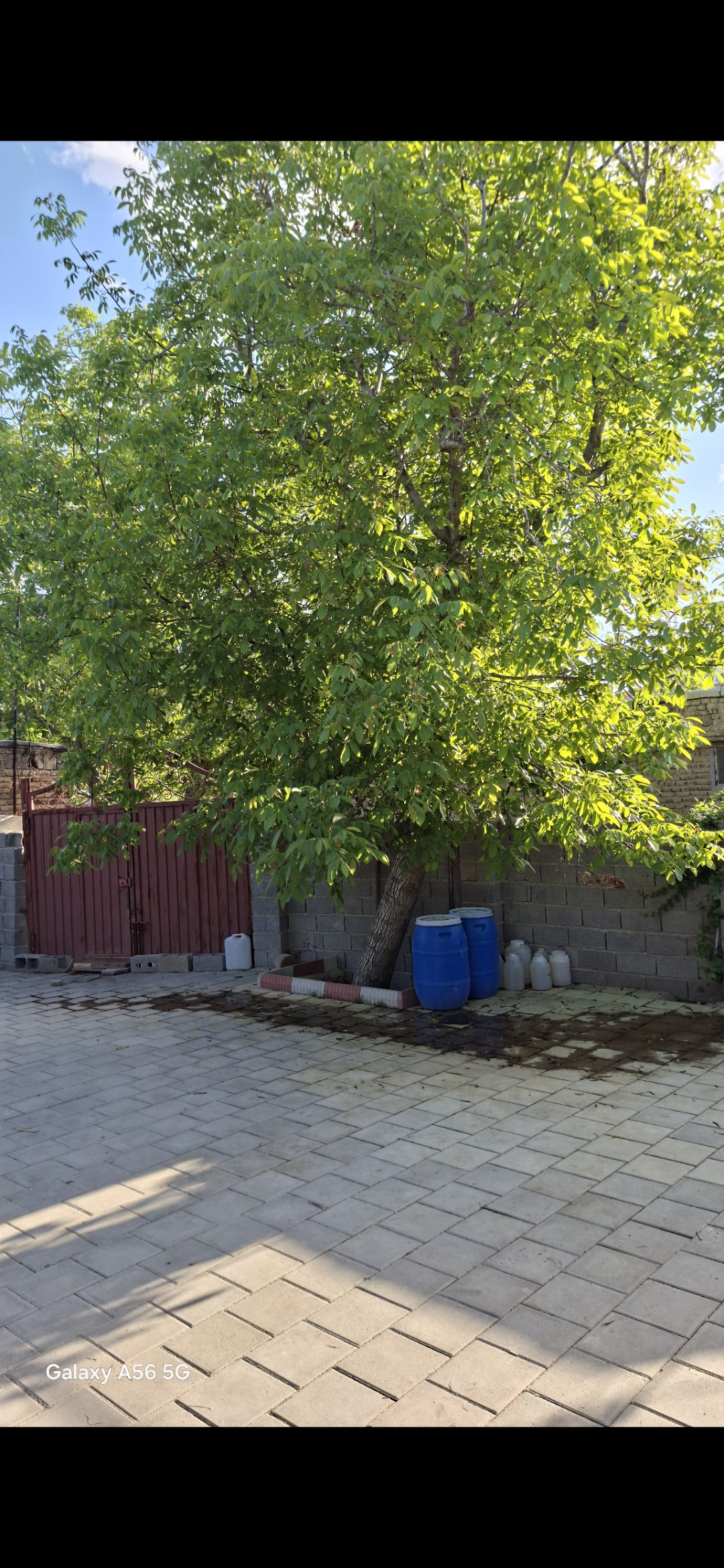 فروش منزل روستایی ۱۵۰ متری با تمام امکانات